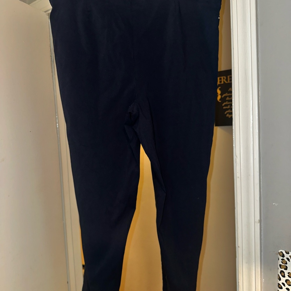 89th & Madison Blue Cropped Pants Ankle Length - worn once